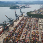 Arauco avança em logística para exportação de celulose com operação no Porto de Santos