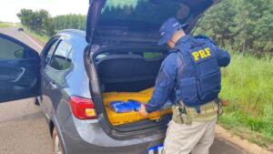 PRF apreende 169 Kg de maconha em Água Clara