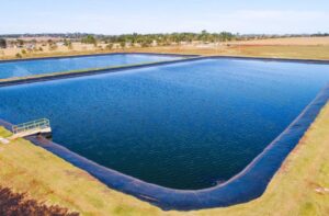 Obras de saneamento acompanham expansão da celulose na Costa Leste e fortalecem a infraestrutura regional