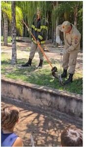Jiboia é capturada em condomínio às margens do rio em Três Lagoas