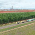 Projeto Sucuriú recebe balão da caldeira