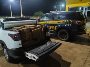 PRF apreende 787 Kg de maconha em Três Lagoas