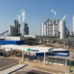 Suzano vende 12,7 milhões de toneladas de celulose pela primeira vez na história