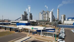 Suzano vende 12,7 milhões de toneladas de celulose pela primeira vez na história