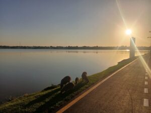 Aniversário de Três Lagoas deve ser marcado por frio intenso e máxima de apenas 20°C