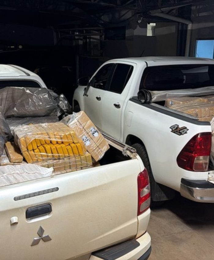 PF apreende cerca de uma tonelada de maconha