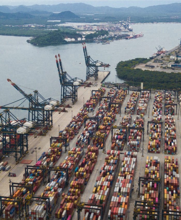 Arauco avança em logística para exportação de celulose com operação no Porto de Santos