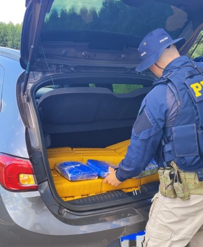 PRF apreende 169 Kg de maconha em Água Clara