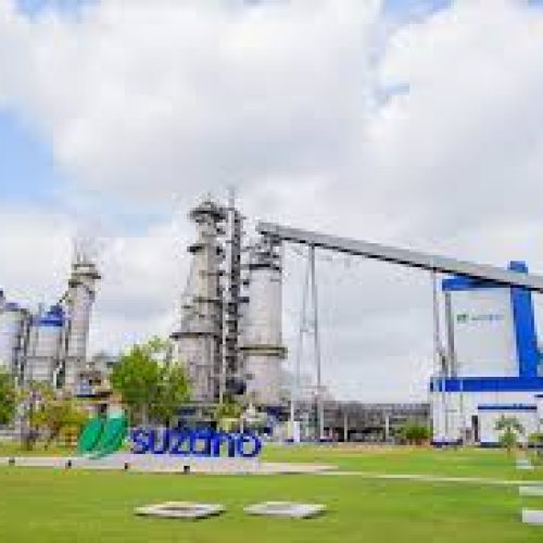 Suzano abre 25 vagas para Programa de Aprendiz em Três Lagoas