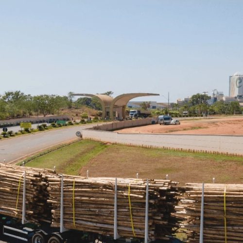 Eldorado Brasil abre vagas para motoristas de tritrem em Três Lagoas