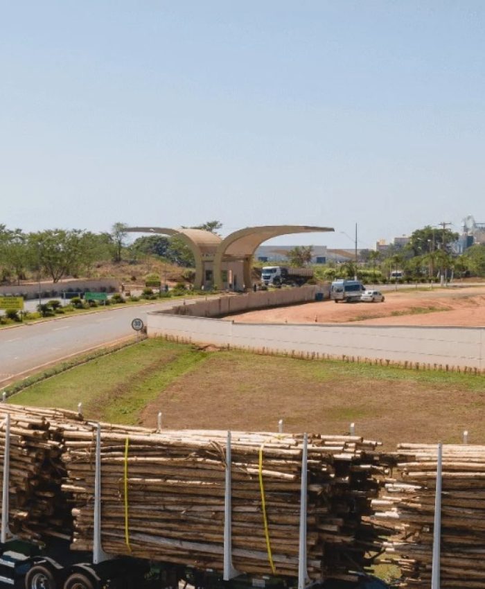 Eldorado Brasil abre vagas para motoristas de tritrem em Três Lagoas