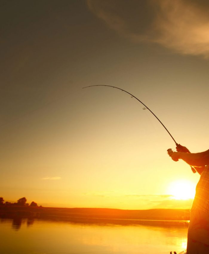 Temporada de pesca reabre em MS