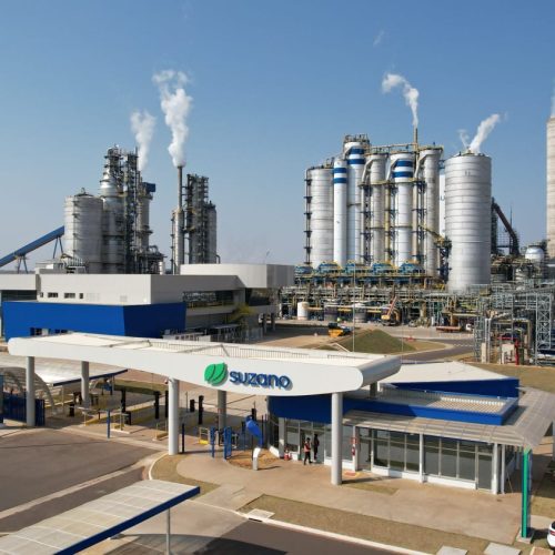 Suzano vende 12,7 milhões de toneladas de celulose pela primeira vez na história