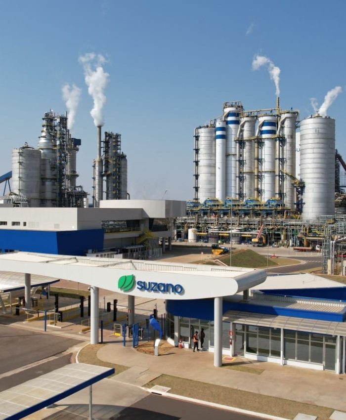 Suzano vende 12,7 milhões de toneladas de celulose pela primeira vez na história