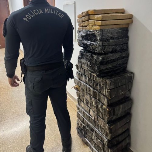 PM realiza apreensão de 216 quilos de maconha e a prisão de autores de tráfico