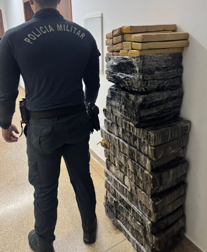 PM realiza apreensão de 216 quilos de maconha e a prisão de autores de tráfico