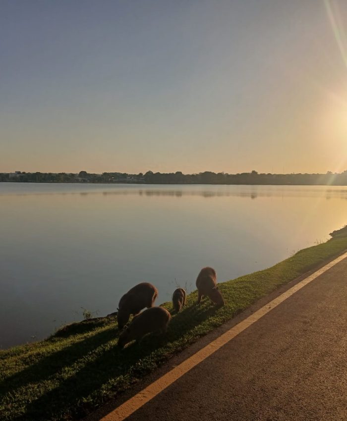 Aniversário de Três Lagoas deve ser marcado por frio intenso e máxima de apenas 20°C